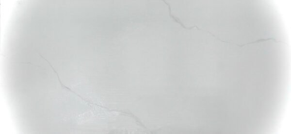 T12308